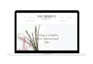 Minimalism and Mindfulness Blog For Sale
