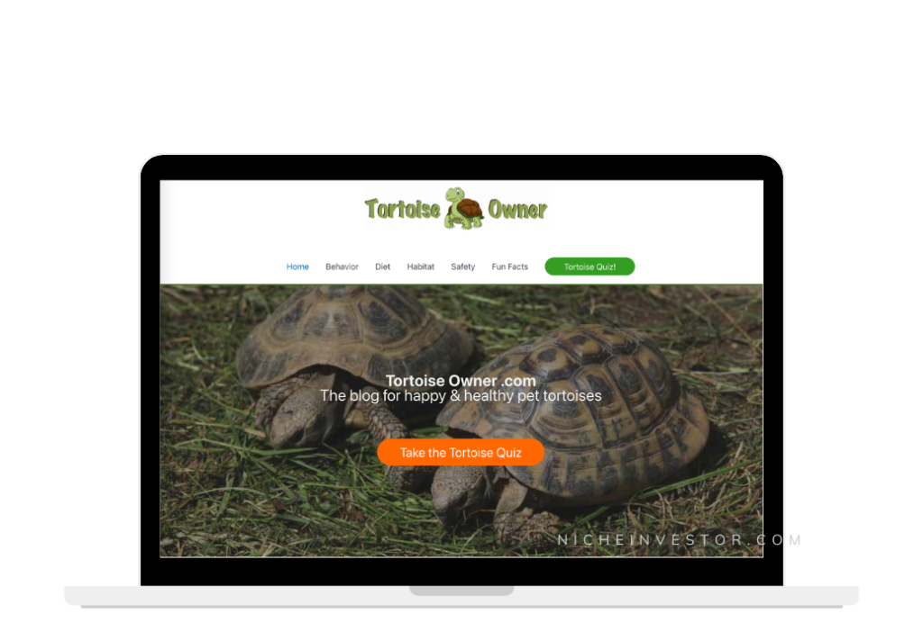 real examples of what blogs sell for - pet tortoise site sold for $35,000