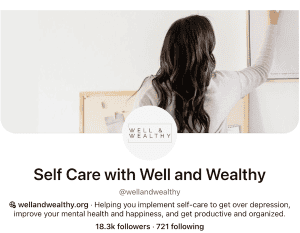 productivity ann mental health blog for sale with Pinterest account