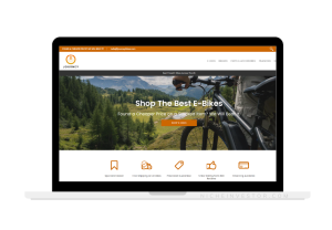 electric bike niche ecommerce website (1)