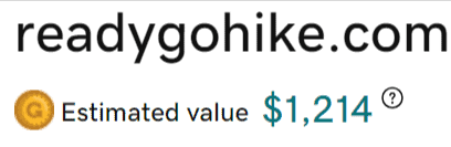 domain name value