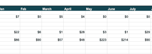 homeschooling newbies p&l snapshot