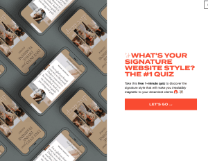 website style quiz opt-in