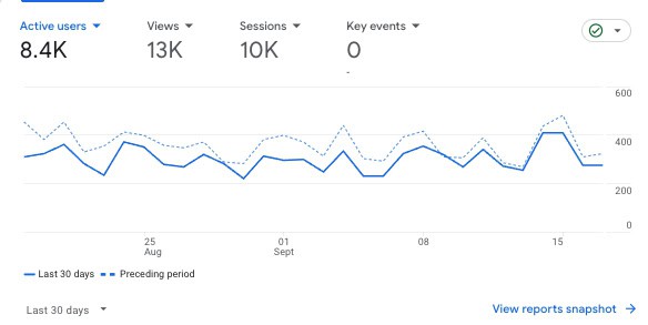 Keto business for sale_analytics