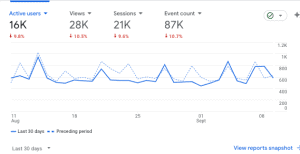 Rav4 website analytics