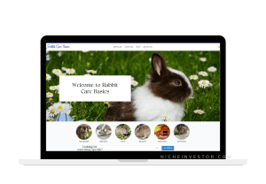 rabbit care blog