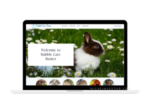 rabbit care blog for sale