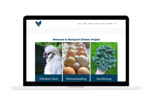 chicken care and homestead blog for sale