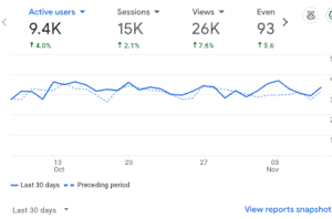 chicken site Google Analytics