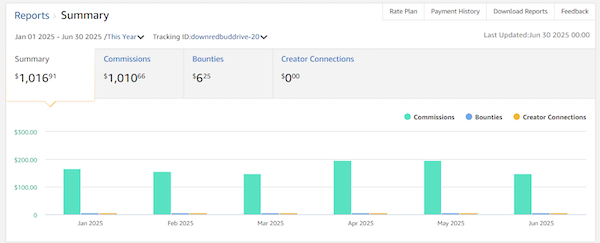 lifestyle blog for sale Amazon earnings 