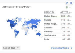 bustling lifestyle blog for sale traffic
