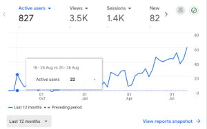mom VA blog 12 months traffic screenshot