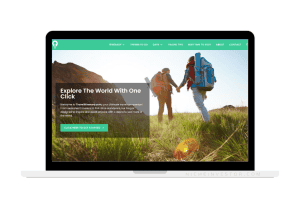 travel resource website for sale