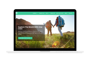 travel resources site for sale