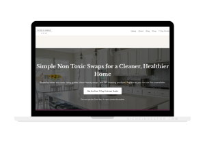 toxin-free living starter website for sale