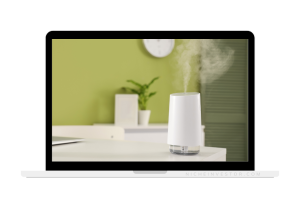 humidifier site for sale
