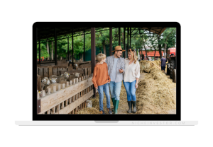 homestead and lifestyle site for sale