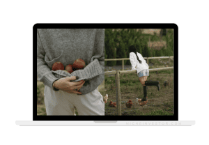 homesteading blog for sale
